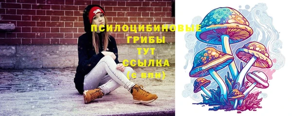 a pvp Сафоново