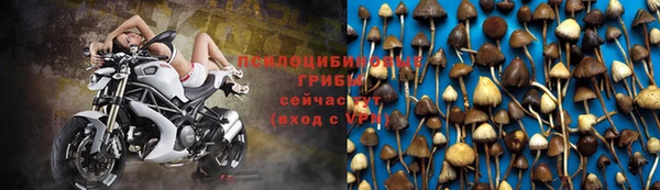 марихуана Саяногорск